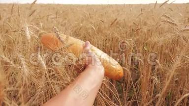 人们在麦田里拿着一条面包. 慢生活方式<strong>运动视频</strong>。 小麦领域的成功农学家